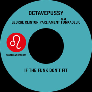 If the Funk Don't Fit (Tentacle Groove Version) (Single Edit)