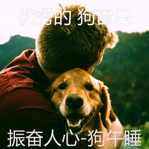 情怀(幼犬)