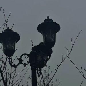 夕暮れの秘密花