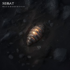 Metamorphosis (Radio Edit)