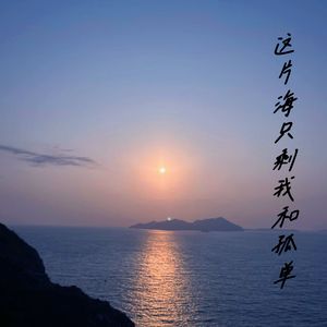 这片海只剩我和孤单