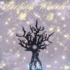 Feeling Winter触动