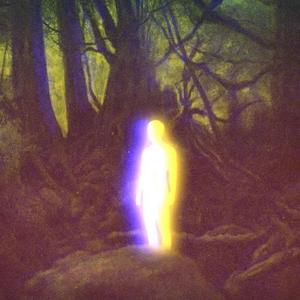 ғᴜᴛᴜʀᴇ ʜᴏᴜsᴇ ᴅᴇᴍᴏ P2