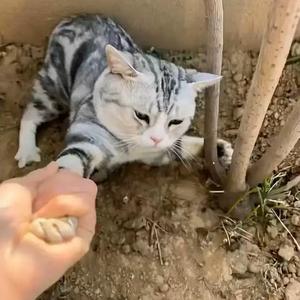 DJ阿智-不想开学（Dj小希（口水旋律） remix）