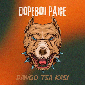 Dawgo tsa Kasi