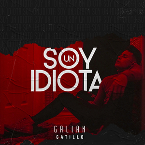 Soy un Idiota