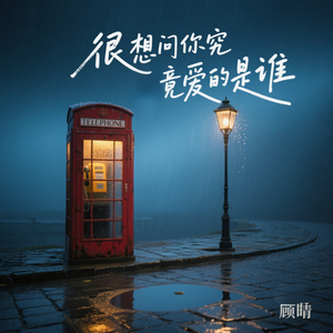 很想问你究竟爱的是谁