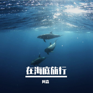 牵你的手在海底旅行