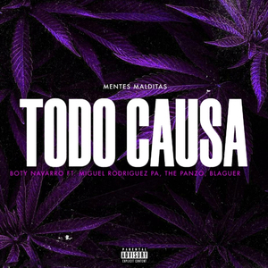 Todo Causa