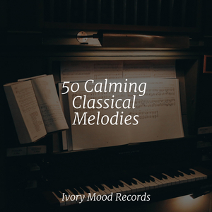 Mossy Whispers Dance