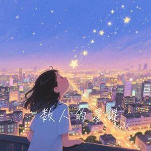 数人的星星