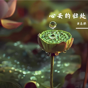 心安的归处