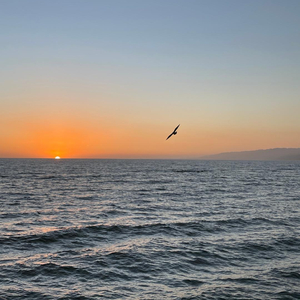 Probation (feat. Mike Noodz)