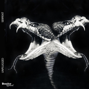 Serpent