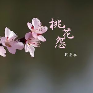 桃花怨