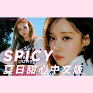 Spicy中文版