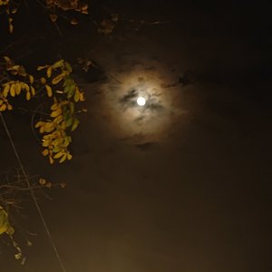 我想做你的眼睛