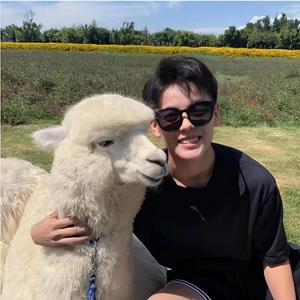 最美的期待（翻自真瑞）