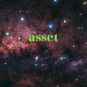 Asset