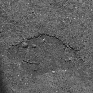 Dumb Love (feat. Lydia)