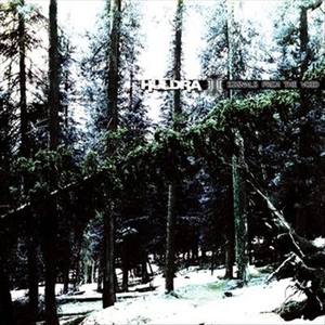 A Signal Permeates The Sky