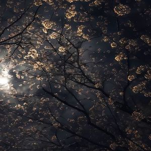 寻找内心的宁静