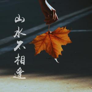 山水不相逢