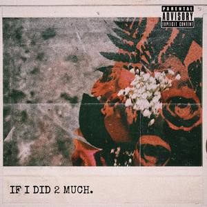 If I Did 2 Much
