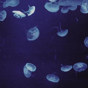 放課後ディストラクション 高分少女