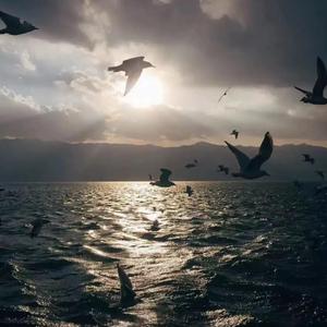 WHY u leave me alone