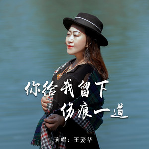 你给我留下伤痕一道