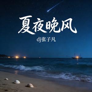 夏夜晚风