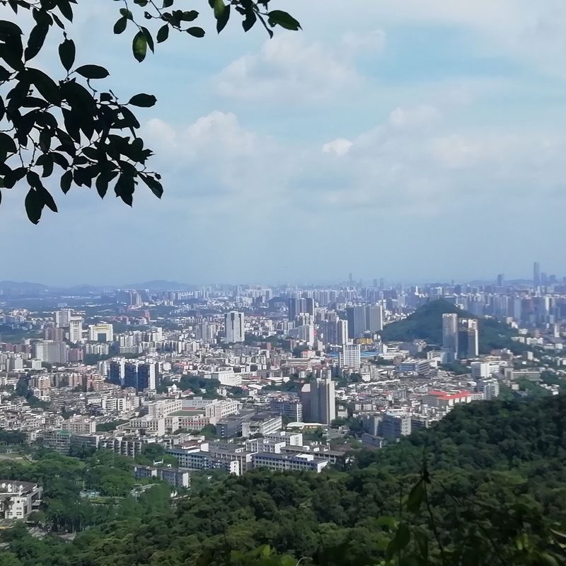 笑一笑封面
