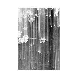 2. december (feat. Stillhigh)