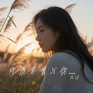 宁愿不曾与你相遇 (Remix)