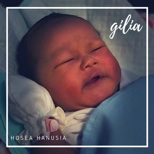 Gilia