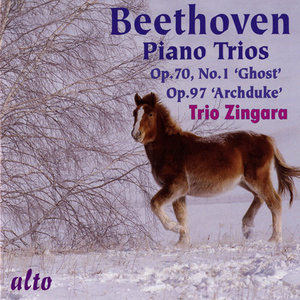 Piano Trio No. 7 in B-Flat Major, Op. 97, "Archduke":III. Andante cantabile ma pero con moto -