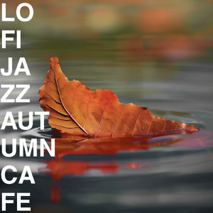 全方向美少女 (カバー) [オルゴール]