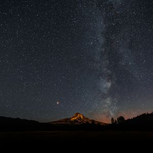 【free】可能性（1）