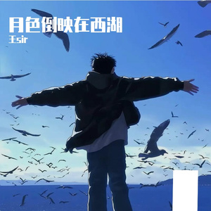 月色倒映在西湖