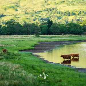 静坐 (禅修打坐)