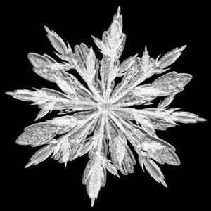 冰泪（prod by JestonBeatz）