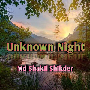 Unknown Night