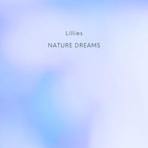 Lillies (Cello Version)