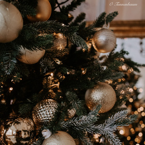 Schmümckt den Saal