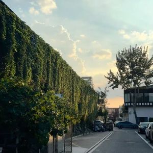 平行宇宙的我和你