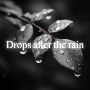 Drops after the rain