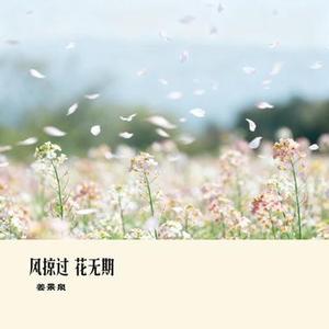 风掠过 花无期