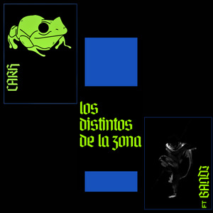 Los Distintos de la Zona