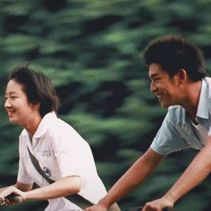 懵懂的我们 青涩的你